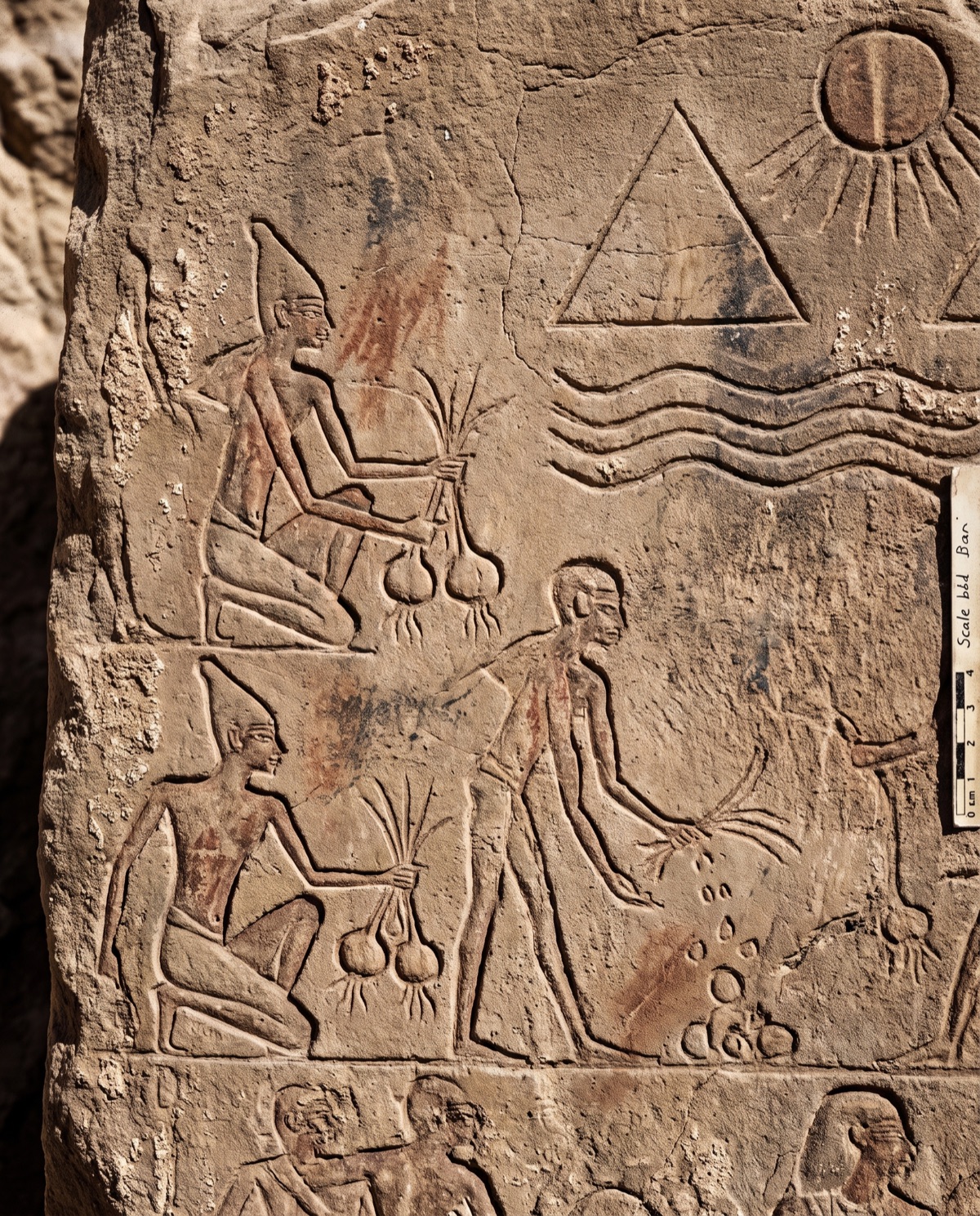 Egipto · Ajo · Alicina